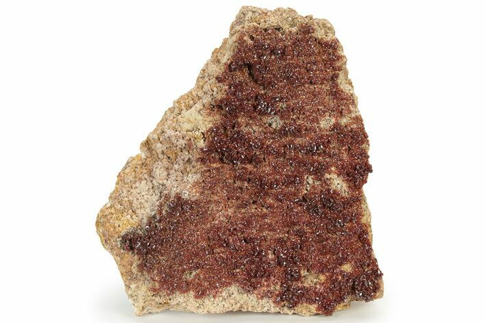 Plate of Ruby Red Vanadinite Crystals - Morocco #231845